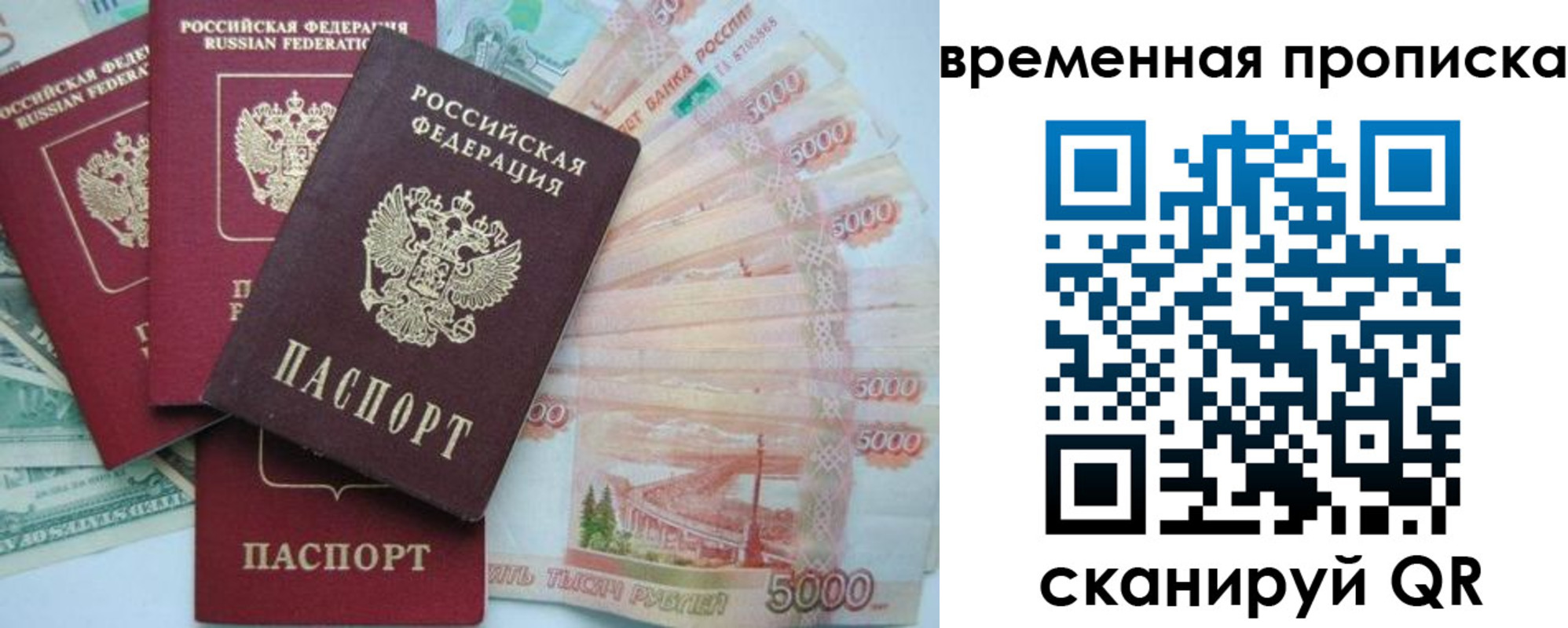 временная регистрация 2025 в Химках