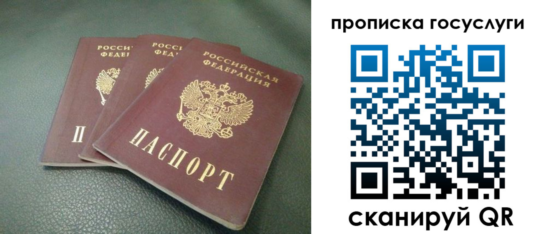 временная регистрация госуслуги в Химках